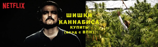 первитин Белокуриха