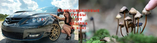 первитин Белокуриха