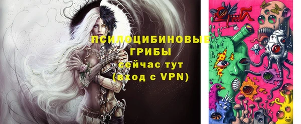 марки lsd Богородицк