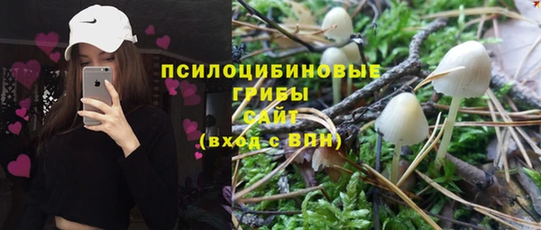 первитин Белокуриха