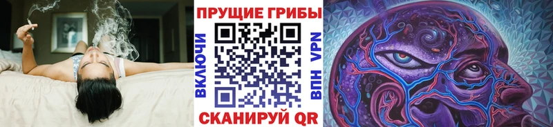 Псилоцибиновые грибы мицелий  Купить закладки  Горно-Алтайск 